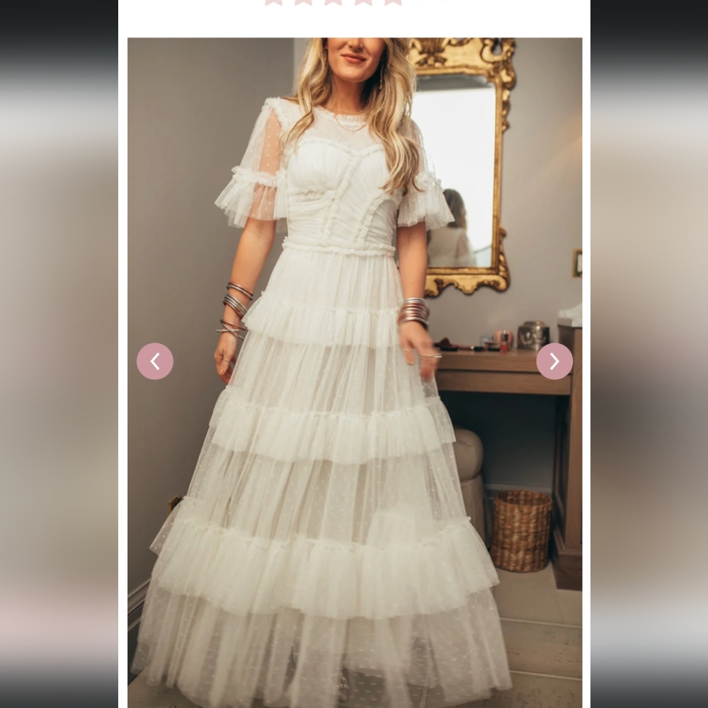 NWOT Ivy City Co Whimsical Dress